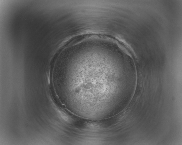 X0000069810062200605261759