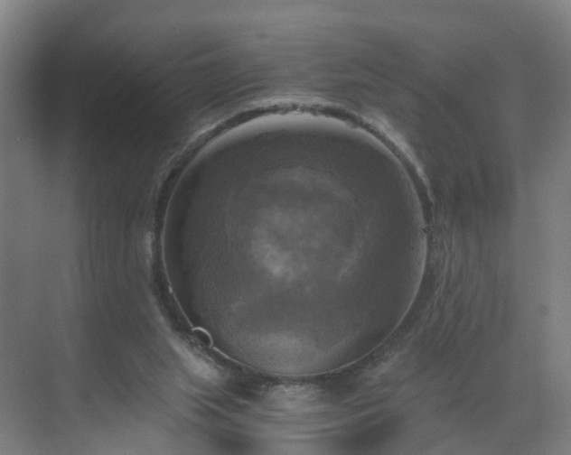 X0000069810063200605261759