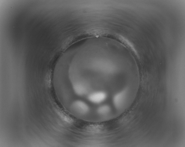 X0000069810065200605261759