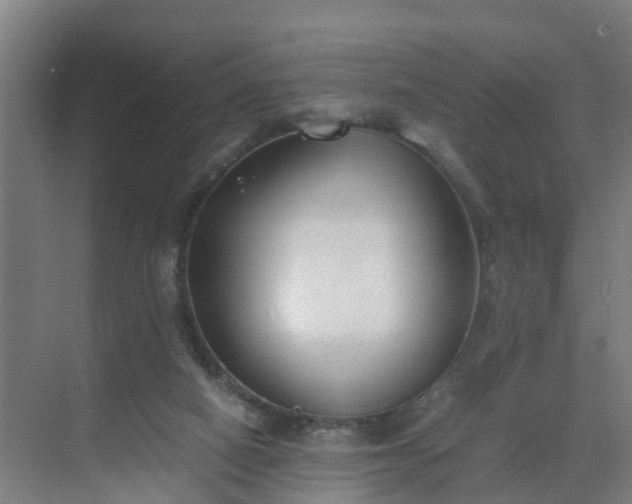 X0000069810066200605261759