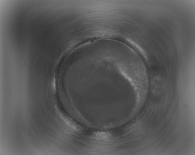 X0000069810067200605261759