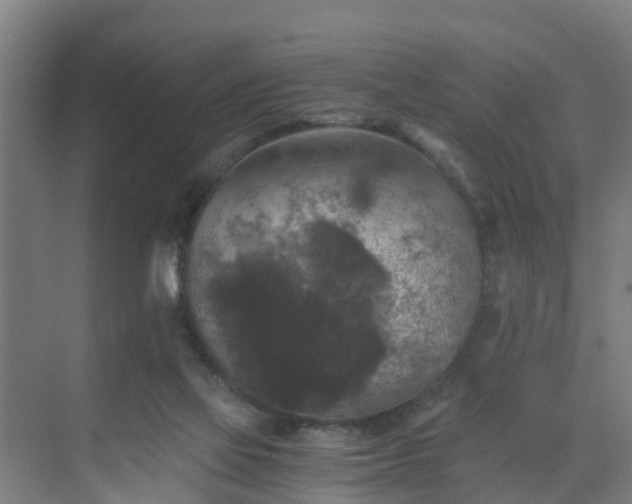 X0000069810069200605261759