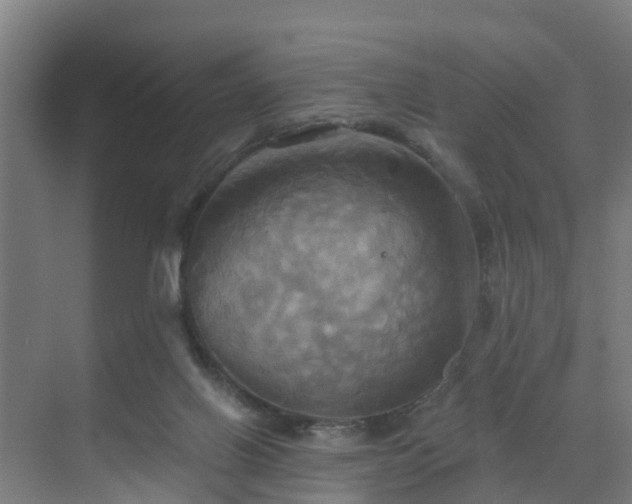 X0000069810070200605261759