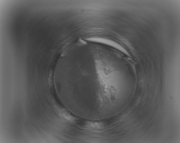 X0000069810073200605261759