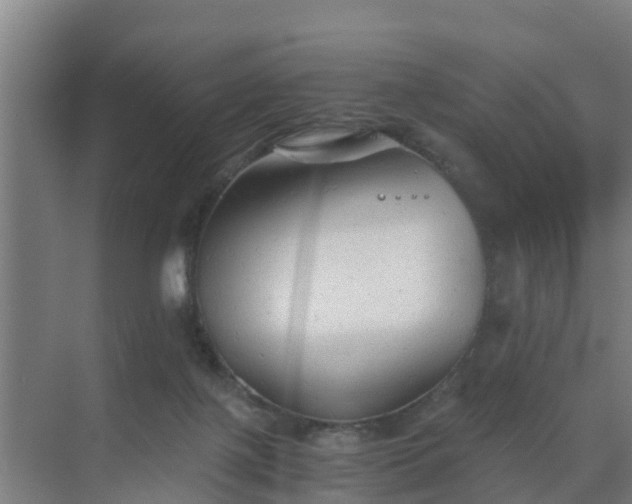 X0000069810075200605261759