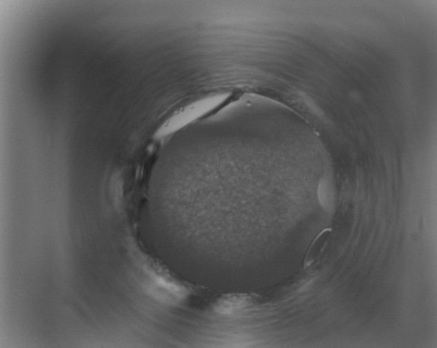 X0000069810076200605261759