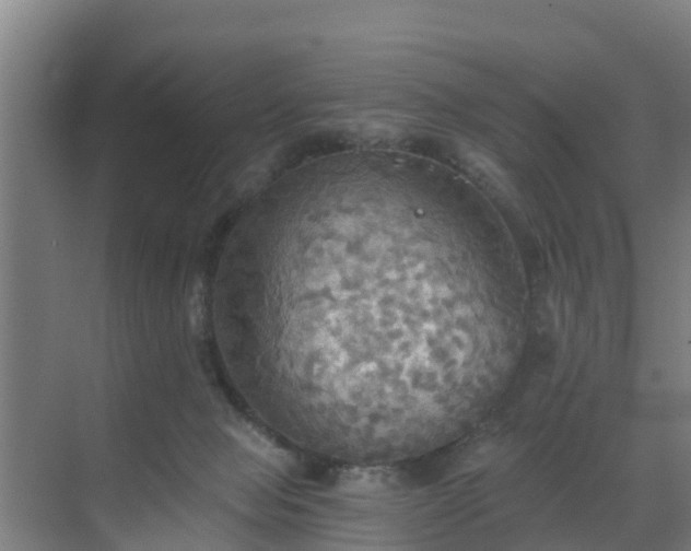 X0000069810077200605261759