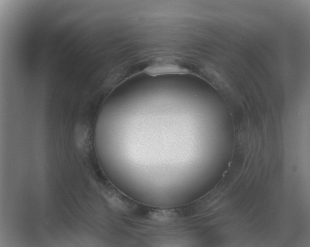 X0000069810079200605261759