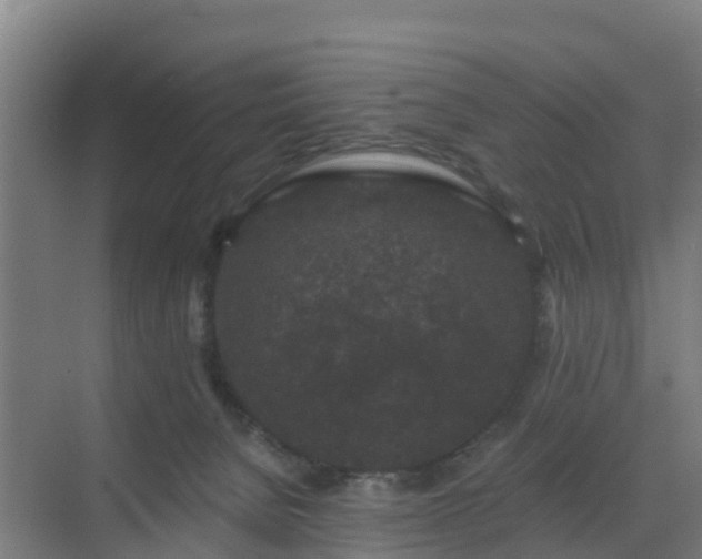 X0000069810080200605261759