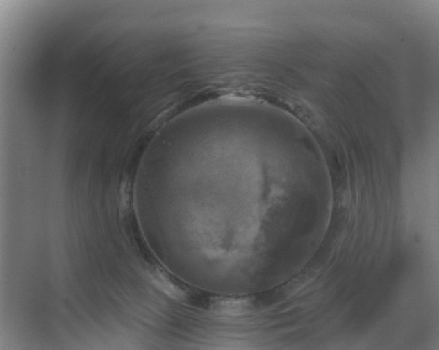 X0000069810081200605261759