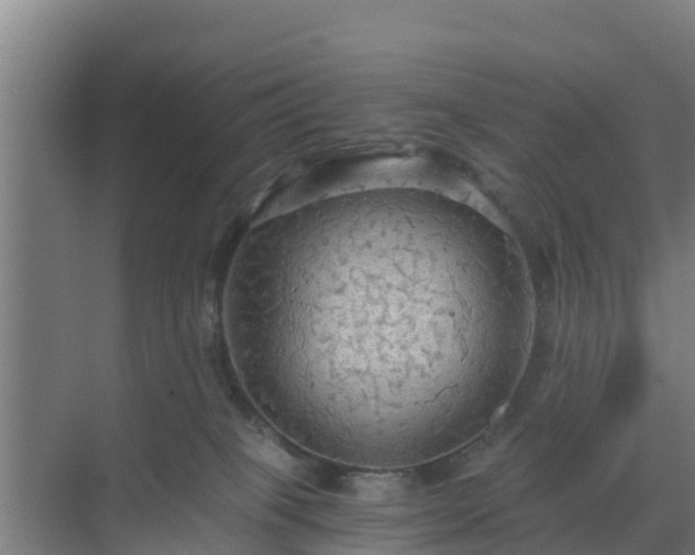 X0000069810085200605261759