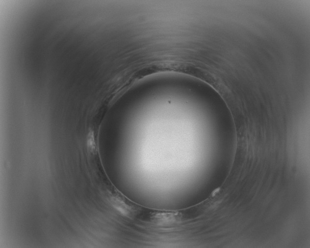 X0000069810089200605261759