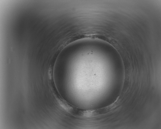 X0000069810090200605261759