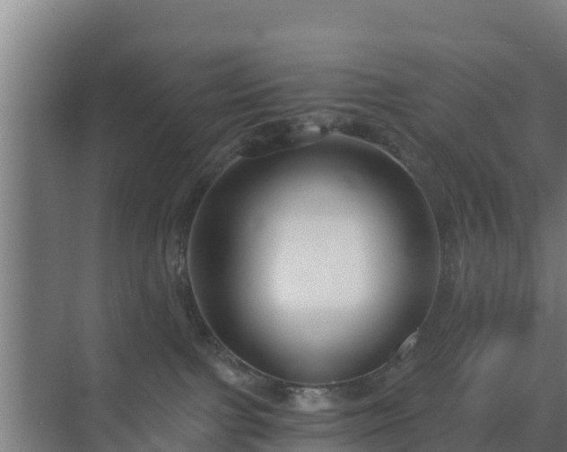 X0000069810091200605261759