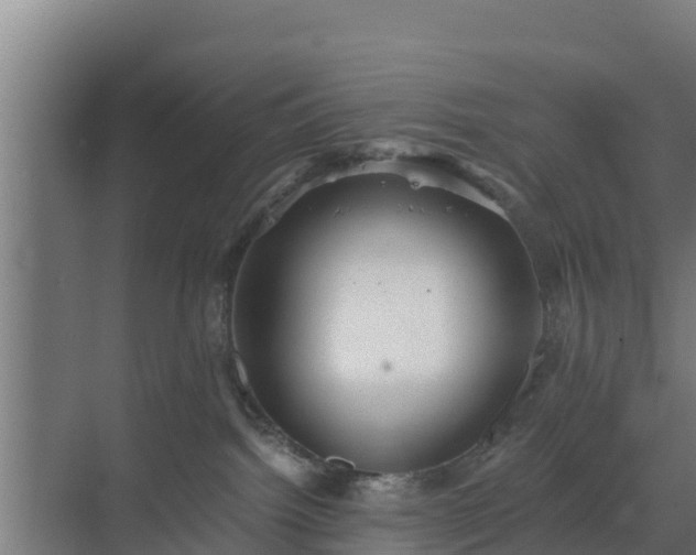 X0000069810092200605261800