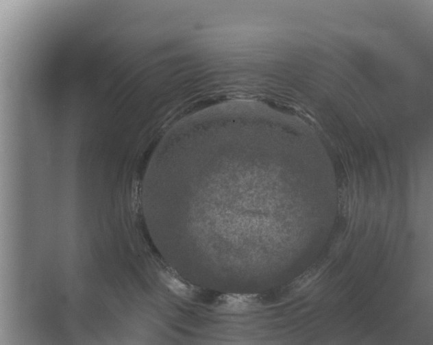 X0000069810093200605261800