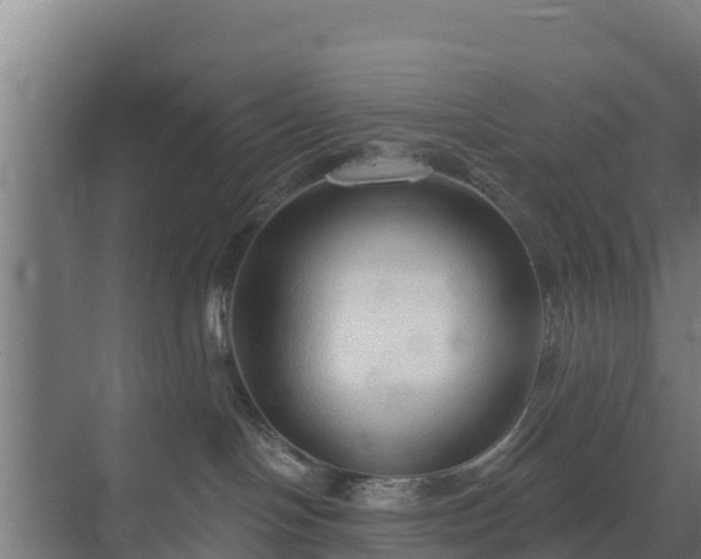 X0000069810094200605261800