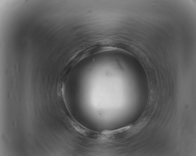 X0000069810096200605261800