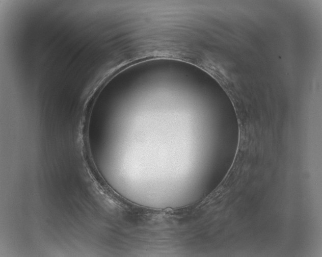 X0000069810098200605261759