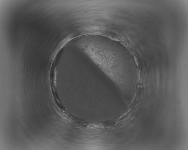 X0000069810099200605261759