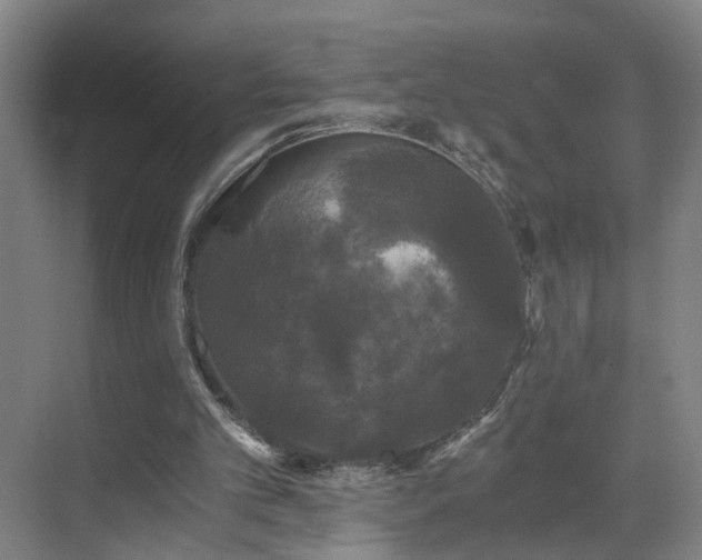 X0000069810101200605261759