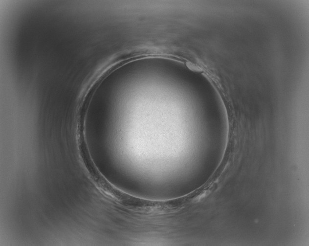 X0000069810103200605261759