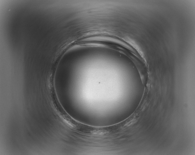 X0000069810105200605261759