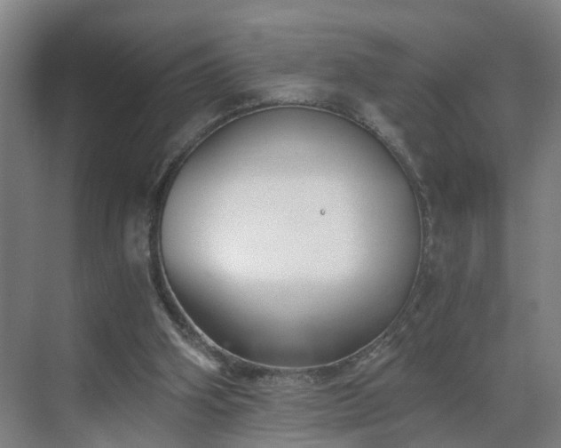 X0000069810106200605261759