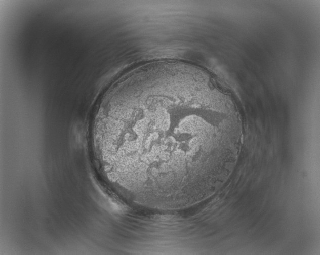 X0000069810107200605261759