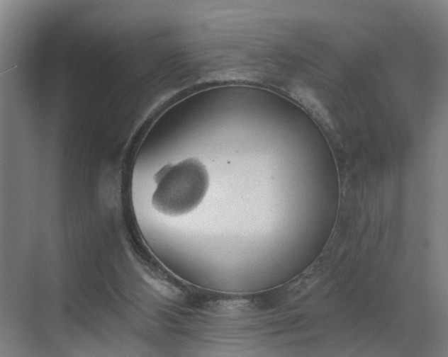 X0000069810108200605261759