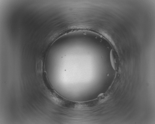 X0000069810109200605261759