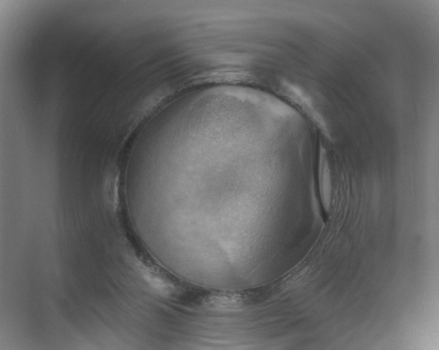 X0000069810110200605261759