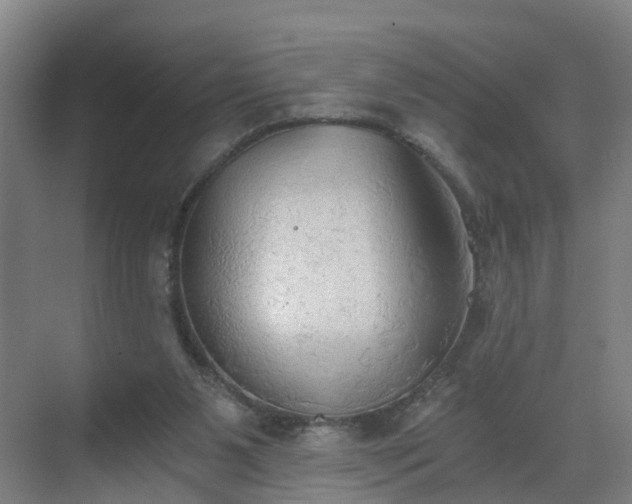 X0000069810111200605261759