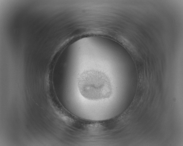 X0000069810112200605261759