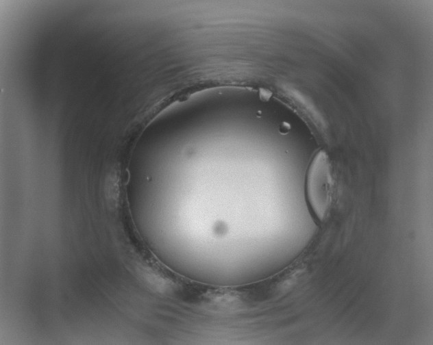 X0000069810113200605261758