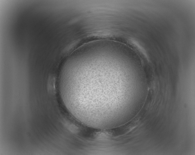 X0000069810115200605261758