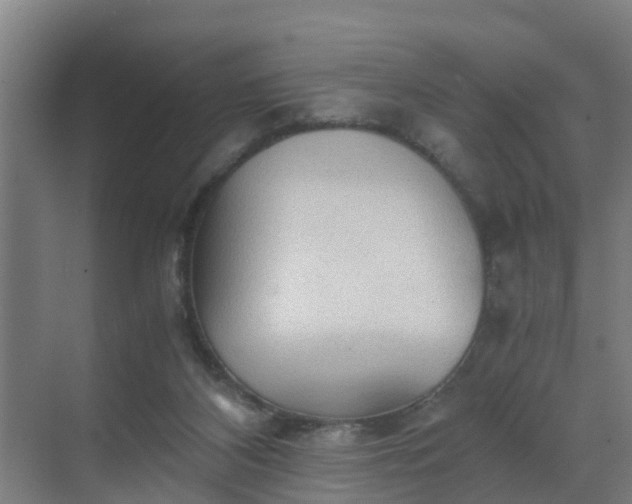 X0000069810116200605261758