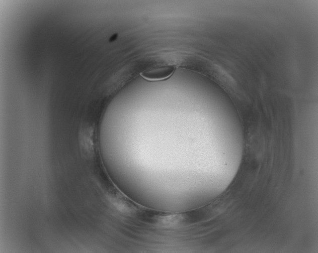 X0000069810122200605261758