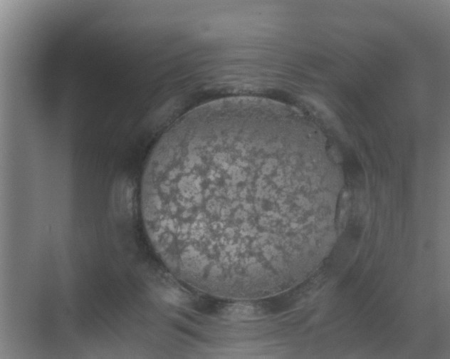 X0000069810123200605261758