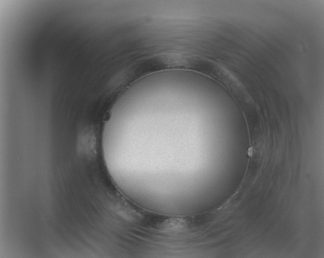 X0000069810124200605261758