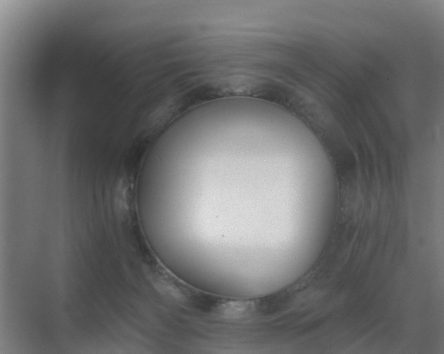 X0000069810126200605261758