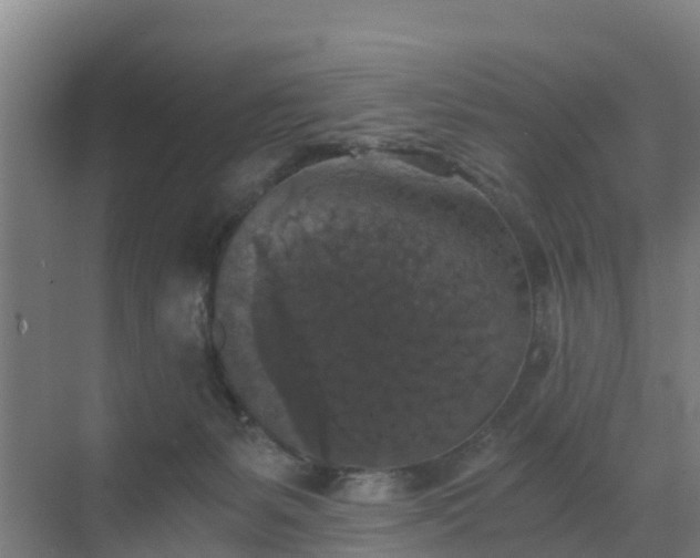 X0000069810127200605261758