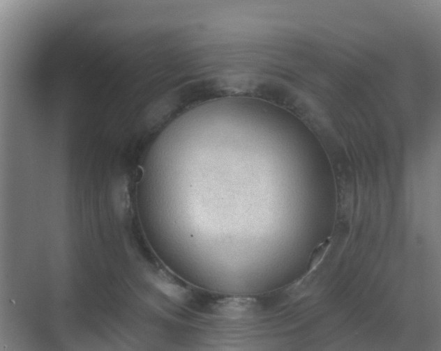 X0000069810128200605261758