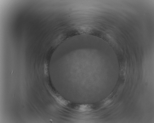 X0000069810130200605261758