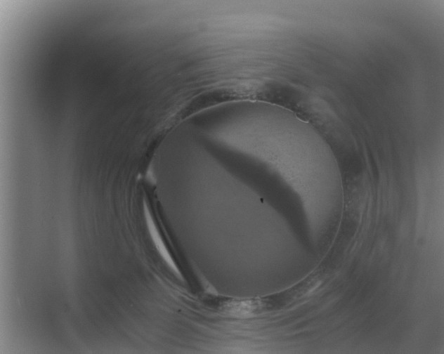 X0000069810131200605261758