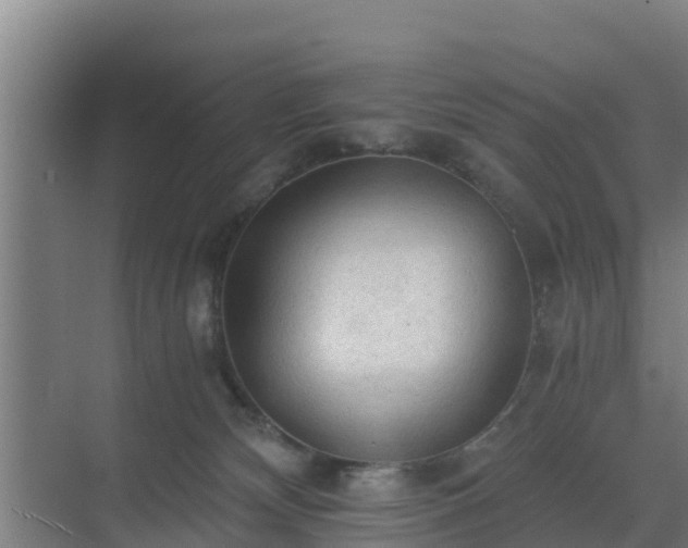 X0000069810132200605261758