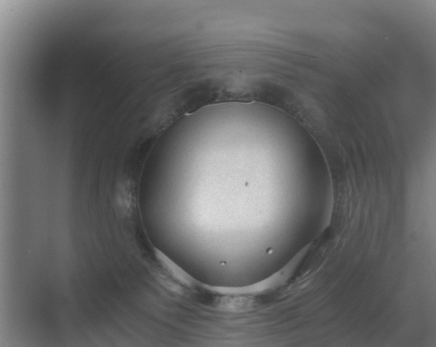 X0000069810135200605261758