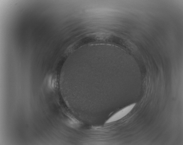 X0000069810137200605261758