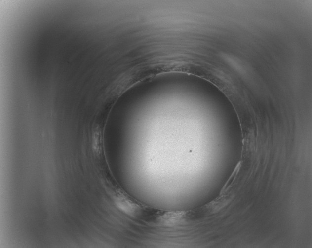 X0000069810138200605261758