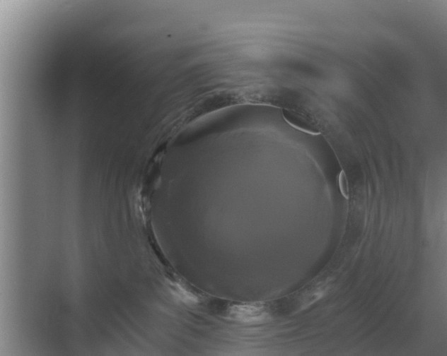 X0000069810139200605261758